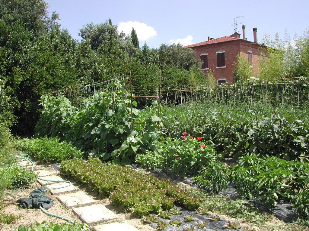 فويانو ديلا تشيانا Villa La Lodola المظهر الخارجي الصورة